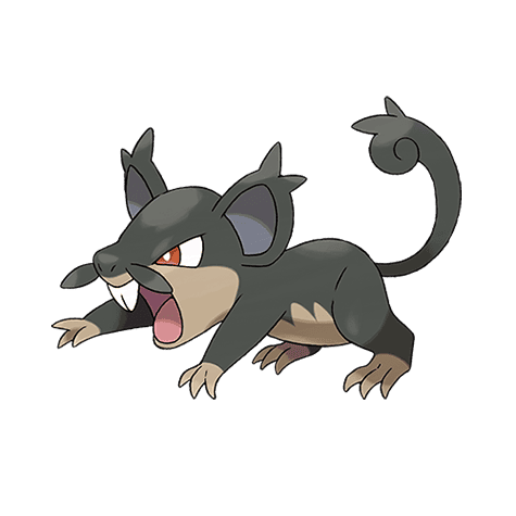 rattata-alola