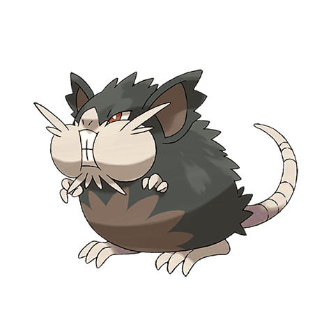 raticate-totem-alola