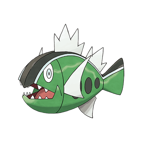 basculin-white-striped