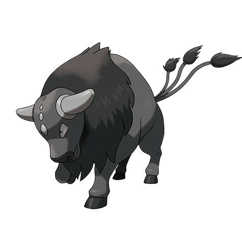 tauros-paldea-combat-breed