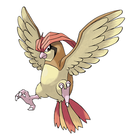 pidgeotto