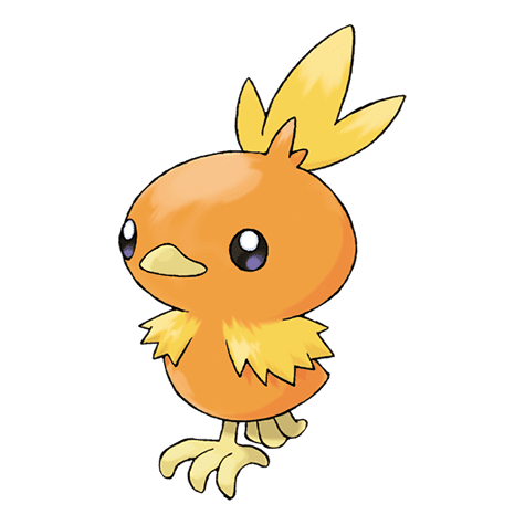 torchic