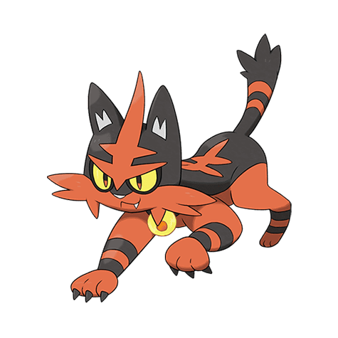 torracat